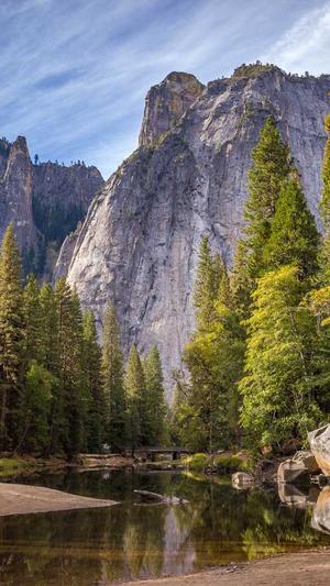 护卫神破解版截图3